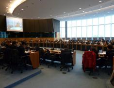 Konferenca o "zelenih delovnih mestih"